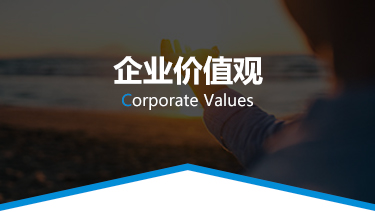 企业价值观