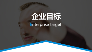 企业目标