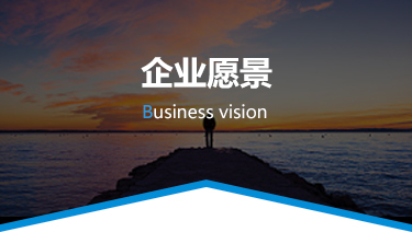 企业愿景