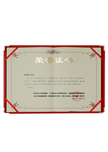 2017年中国十大新闻人物奖